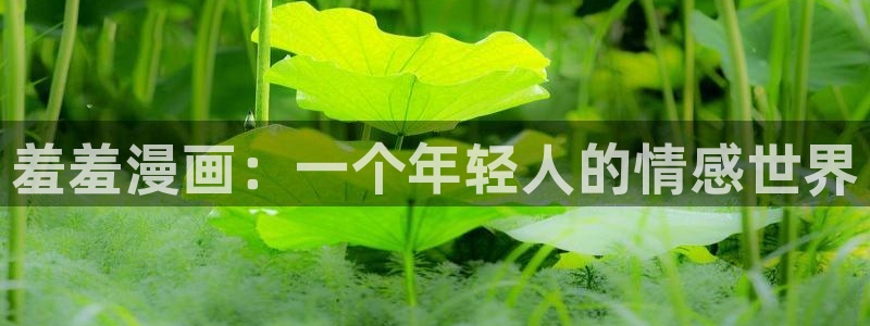 奇漫屋动漫imomoe版：羞羞漫画：一个年轻人的情感世界