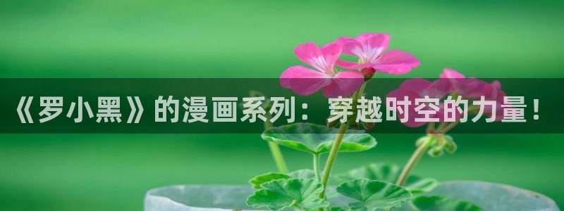 奇漫屋漫画app官方安装下载：《罗小黑》的漫画系列：穿越时空的力量！